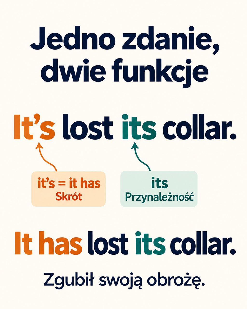It's lost its collar – różnica między it's jako skrótem od it has a its oznaczającym przynależność